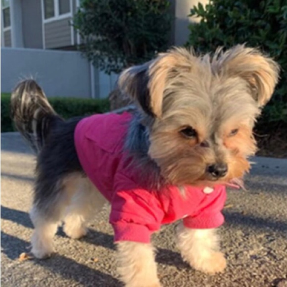 “Pink Dog Puffer Jacket” Fur Hood Warm Winter Wind/Waterproof Cat Pet Lined Coat - Picture 7 of 9